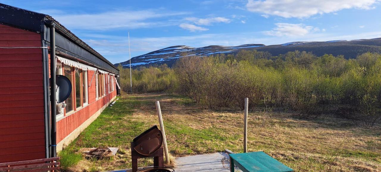 Austertanakrystallen By Pure Lifestyle Arctic Exterior photo